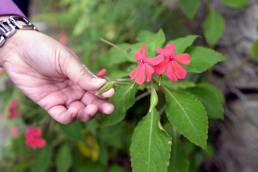 Getting to know nature through your sense of touch. — Picture by Steven Ooi