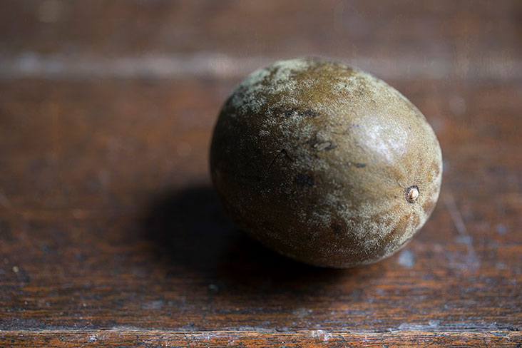 The unassuming 'lor hon kor' is also called ‘longevity fruit’ due to its purported health benefits.