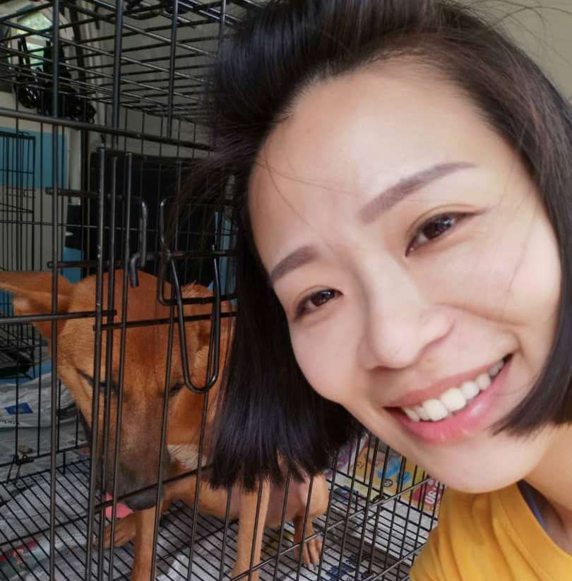 Being a pet taxi driver has given Juvena Chan a new lease of life following her retrenchment early this year. u00e2u20acu201d Picture courtesy of Juvena Chan