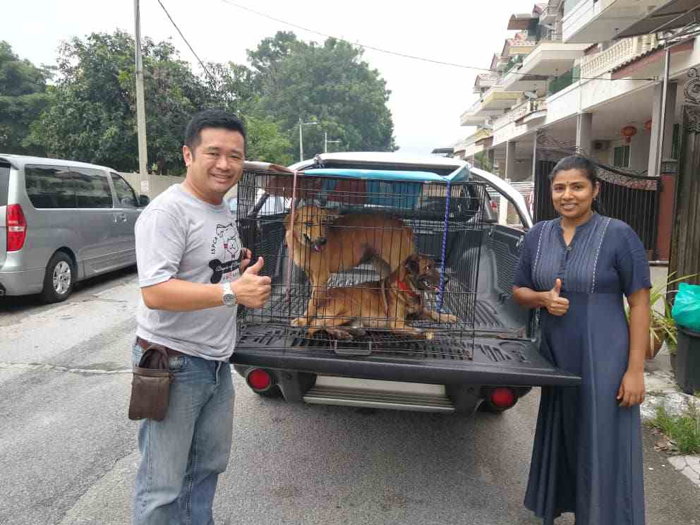 ISPCA started its pet taxi out of necessity. — Picture courtesy of  Facebook/ Ricky Soong