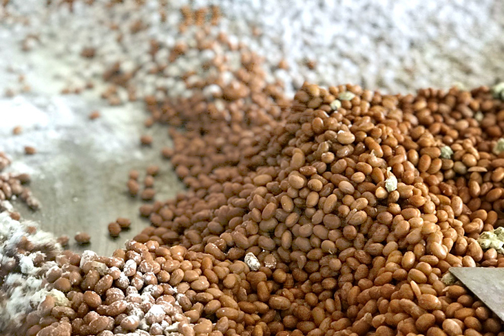 Only non-GMO (genetically modified organism) soy beans are used to make the artisanal soy sauce.