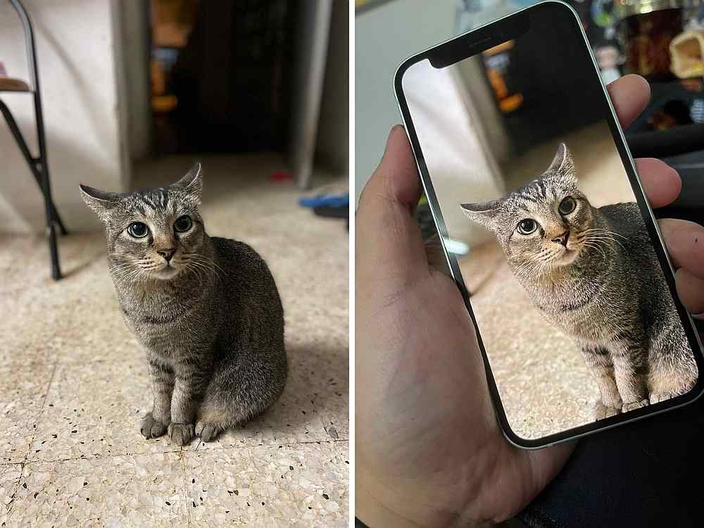 Though it's only 5.4-inches, the OLED display on the iPhone 12 mini is still pretty good as is the Portrait mode. — Picture by Erna Mahyuni