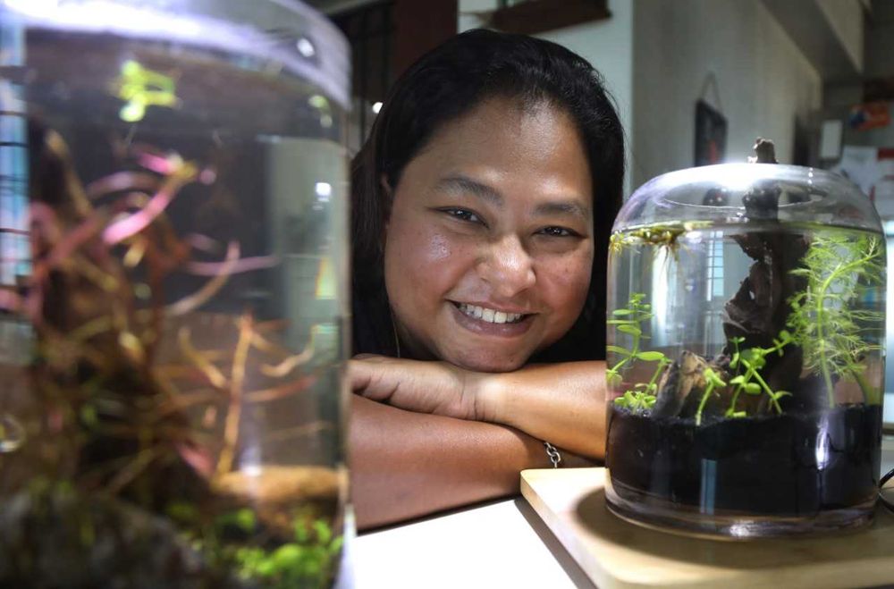 Hobbyist Kelly Pereira says that watching planted tanks help her deal with anxiety. — TODAY pic