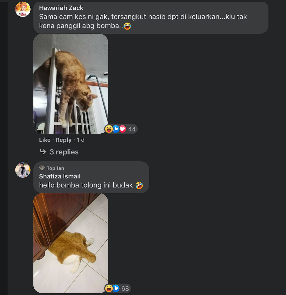 Pet owners on Facebook shared photos of their feline friends who also got stuck in similar situations. — Screengrab from Facebook/Info Roadblock JPJ/Polis