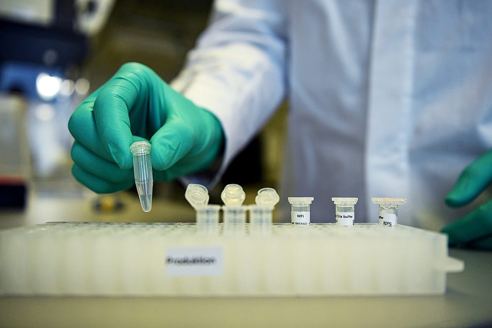 An employee of German biopharmaceutical company CureVac, demonstrates research workflow on a vaccine for Covid-19 at a laboratory in Tuebingen, Germany March 12, 2020. u00e2u20acu201d Reuters pic