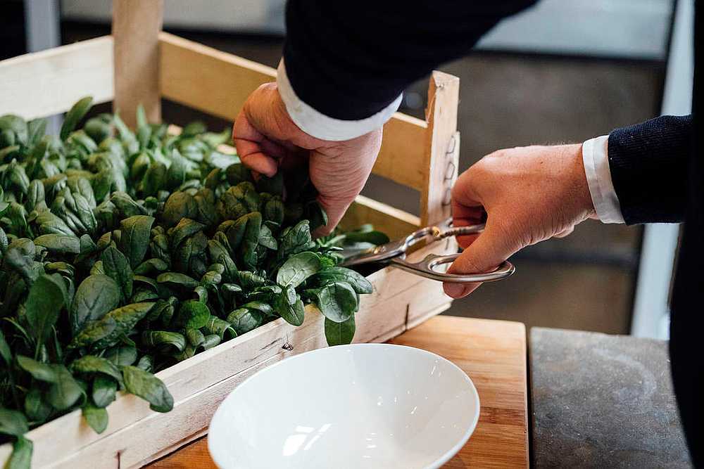 &ever;'s dryponics cultivation technique will allow customers to harvest their vegetables just before they decide to use it. u00e2u20acu201d Picture courtesy of &ever; via TODAY