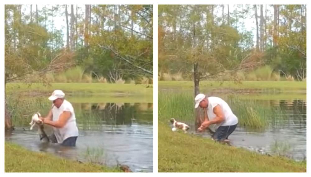 After forcing open the alligator's jaws, Richard Wilbanks managed to free his puppy. u00e2u20acu201d Screengrab via Youtube/WPTVNews