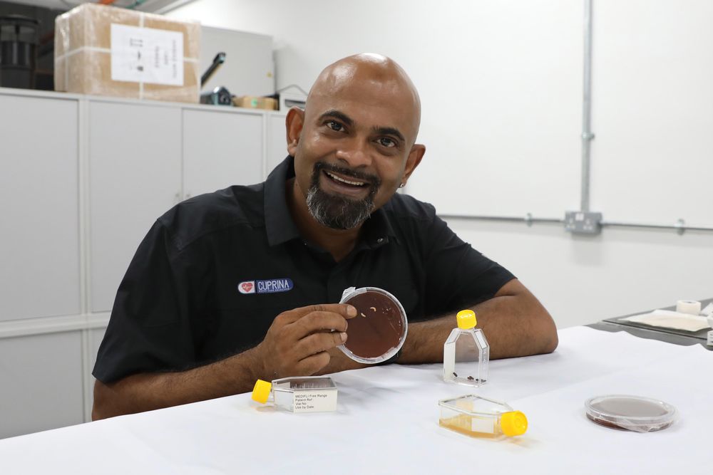 Carl Baptista holding a Petri dish of blood agar that tests the eggs of flies. If colonies of bacteria grow on the blood agar, a batch of eggs is considered contaminated and cannot be used for maggot debridement therapy. — TODAY pic