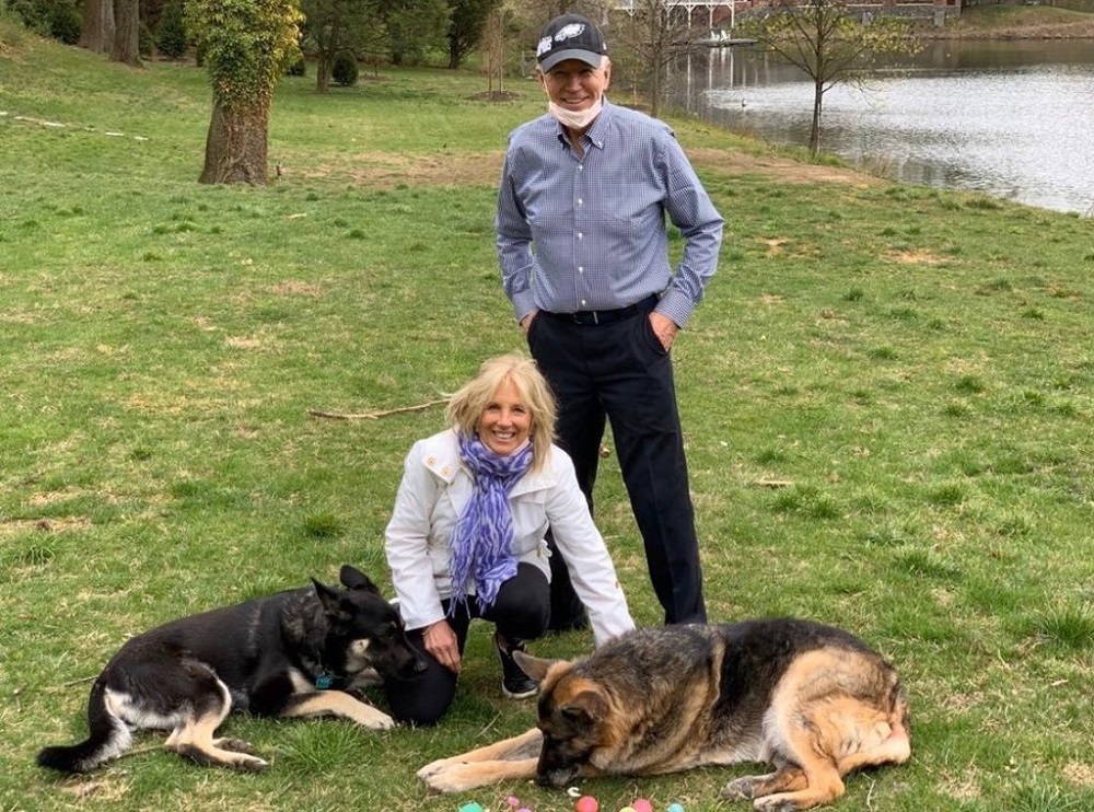 Biden and his wife with their furry pooches Champ and Major Biden. u00e2u20acu2022 Picture via Twitter/FirstDogsChamp&MajorBiden;