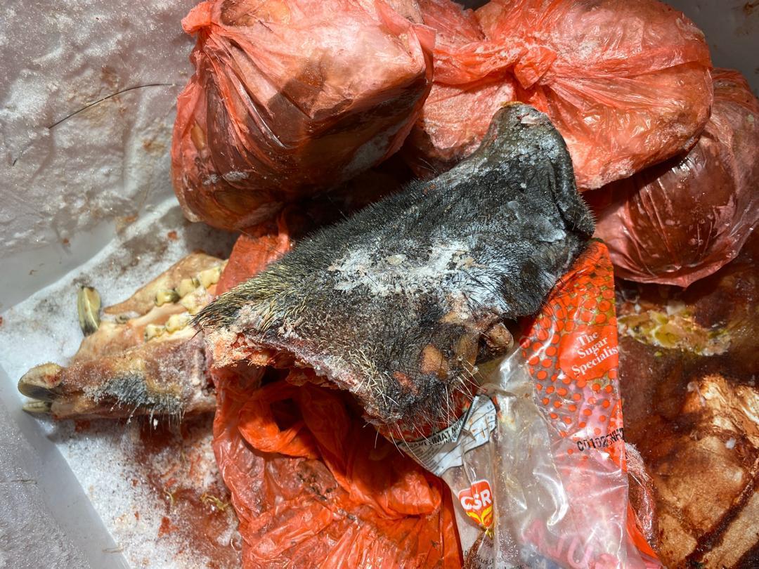 Some of the frozen exotic meat that was seized by the Johor Perhilitan officers at a premises in an industrial area on Jalan Benut, Simpang Renggam near Kluang yesterday. u00e2u20acu201d Picture courtesy of Johor Perhilitan nn