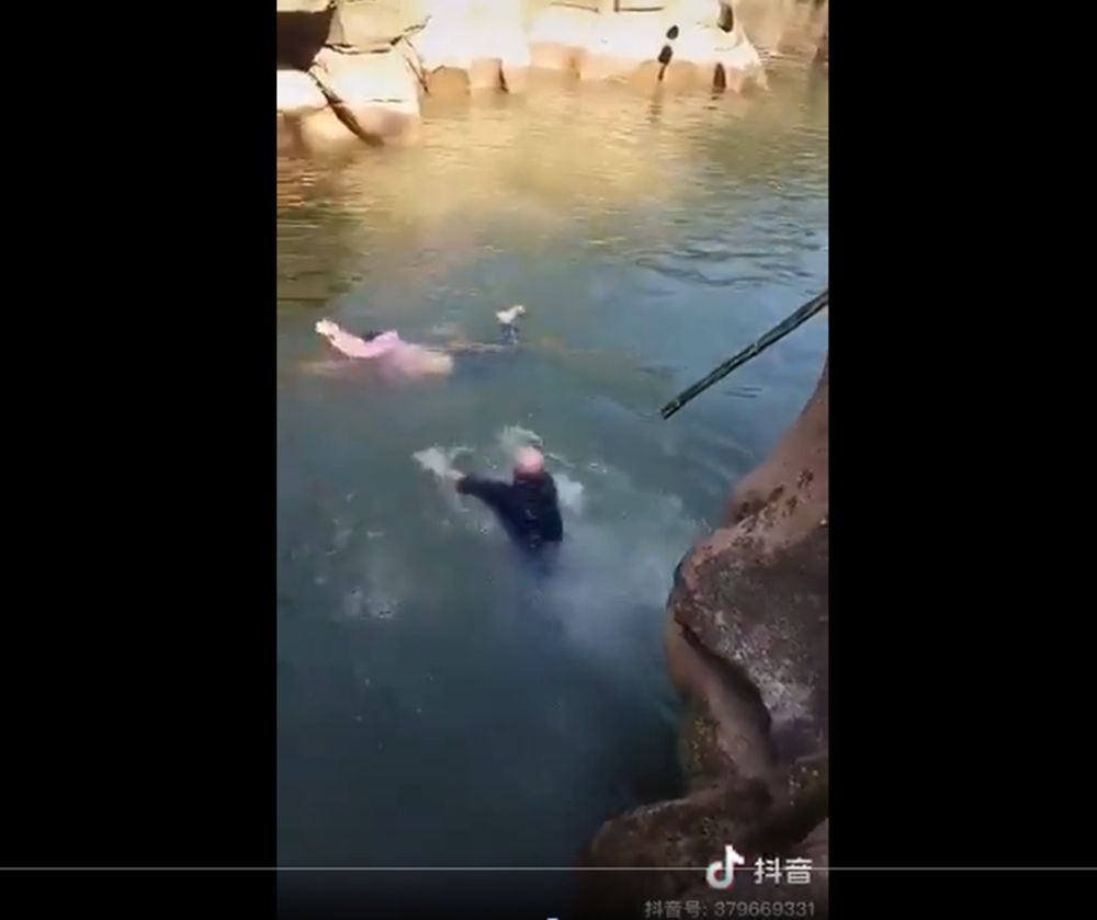 British diplomat Stephen Ellison leapt into action to save a woman who had fallen into a river in Chongqing, China. u00e2u20acu201d Videograb via Twitter/DominicRaab