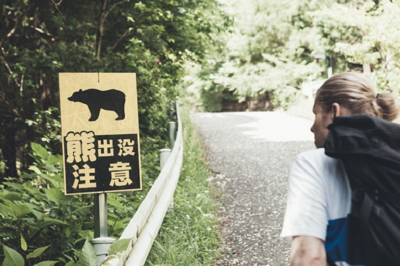 Wild bear attacks have increased in rural Japan, which is why innovative initiatives are seeing the light of day. u00e2u20acu2022 IStock.com/AFP pic