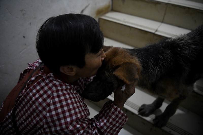 This photo taken on November 29, 2020 shows Wen Junhong kissing a dog at her home shared with rescued animals in Chongqing, southwestern China. u00e2u20acu201d AFP pic