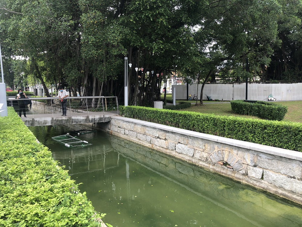 The public was warned not to feed the fish or introduce other fish species into the Prangin Canal. 