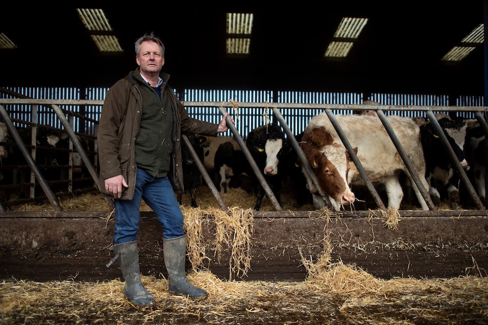 Farmer David Exwood poses for pictures with his beef herd at his farm in near Horsham, south west of London December 9, 2020. u00e2u20acu201d AFP pic