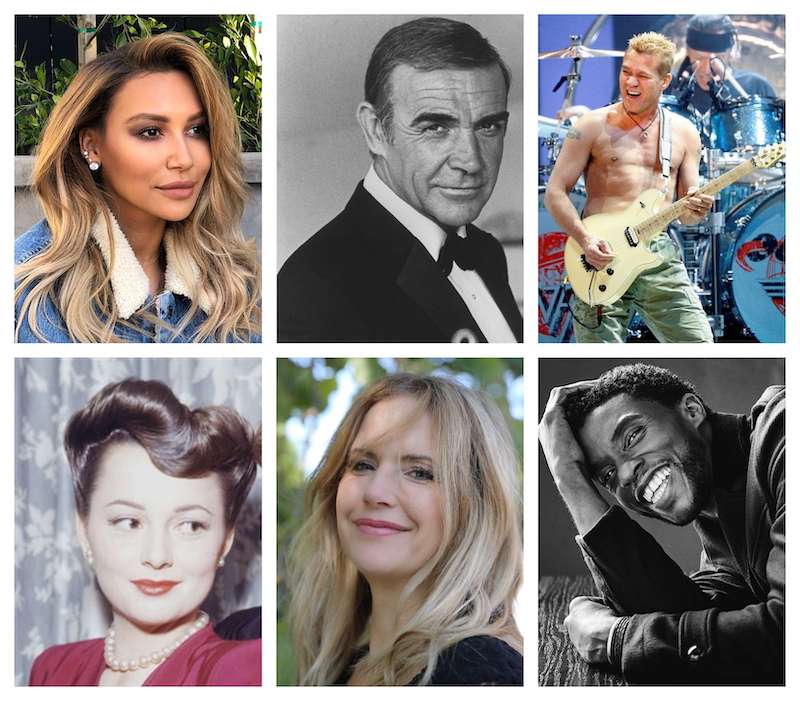 Naya Rivera, Sean Connery, Eddie Van Halen, Chadwick Boseman, Kelly Preston and Olivia de Havilland are some of the big names who died this year. u00e2u20acu201d Pictures from AFP, Eddie Van Halen, Kelly Preston, Naya Rivera, Sam Jones Pictures