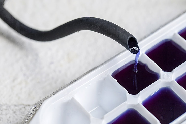 Pour the blue pea flower tea into an ice cube tray, distributing the liquid evenly.