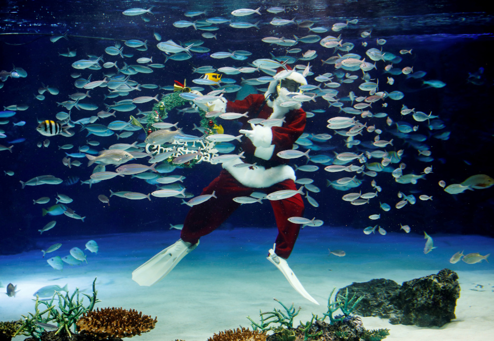 A diver wearing Santa Claus costume swims in a large fish tank during an underwater performance for the Christmas celebration at Sunshine Aquarium in Tokyo, Japan, December 4, 2020. u00e2u20acu201d Reuters pic 
