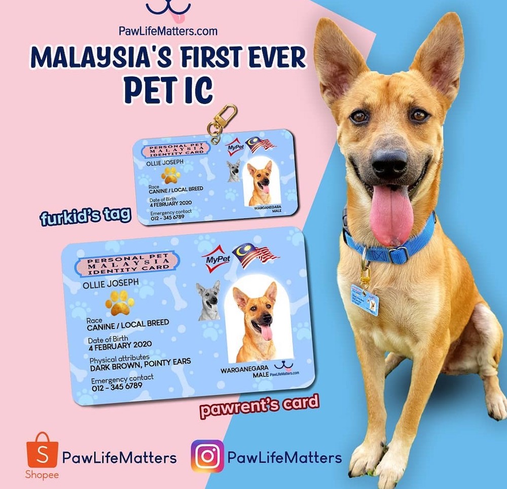 Personalised identity cards for your dogs are available at Paw Life Matters. u00e2u20acu201d Picture courtesy of instagram/pawlifematters