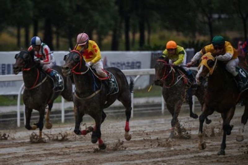 Jockeys race during the Wuhan Open Horse Racing event at Dongfang Macheng international race track in Wuhan, Chinau00e2u20acu2122s central Hubei province. u00e2u20acu2022 AFP-Relaxnews picnn