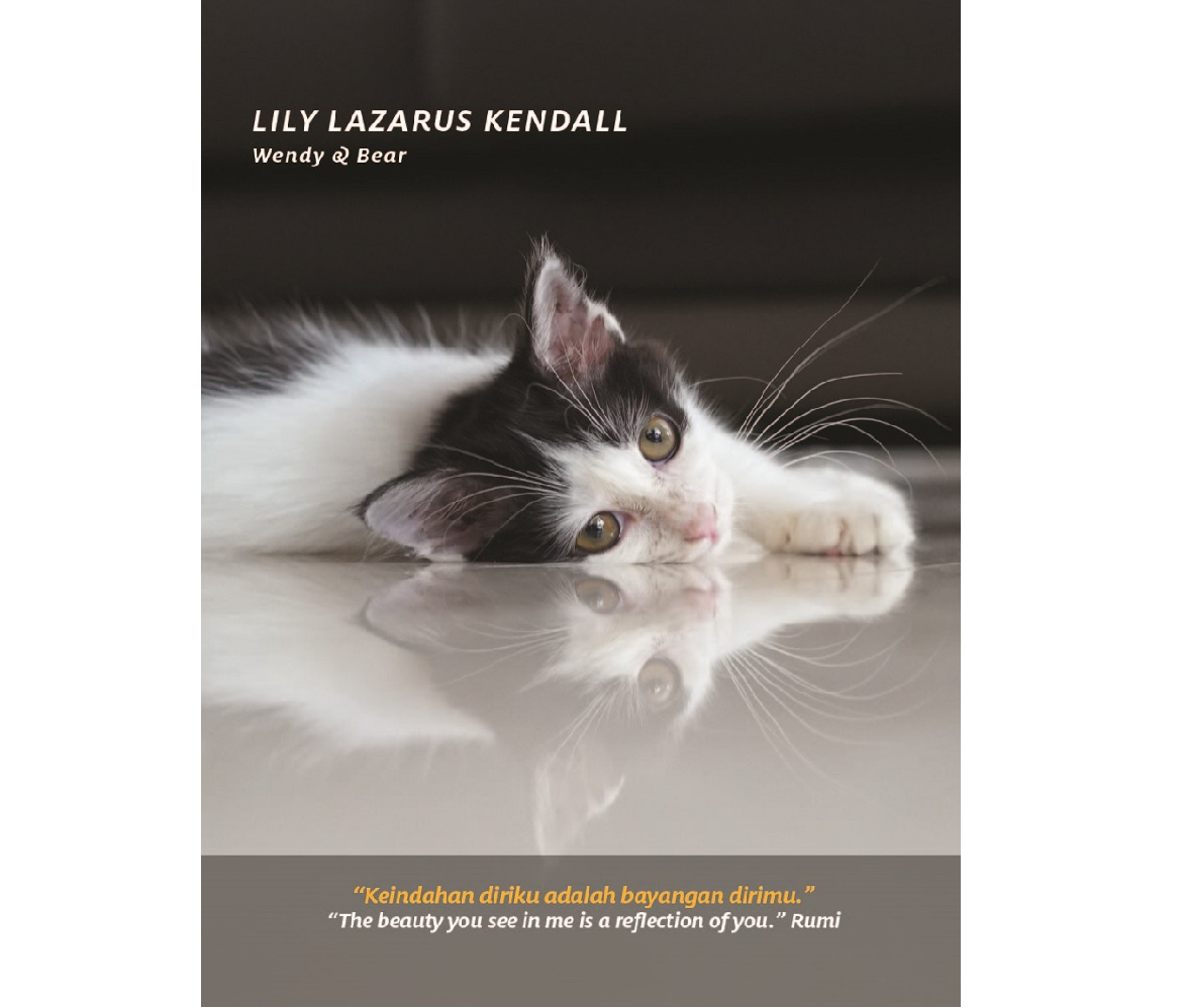 Get inspired with the 258 Cat Inspiration Desktop Book, a joint project between Pet Adoption Network Malaysia and  Arc Rhinowrites Productions. u00e2u20acu2022 Picture by Pet Adoption Network Malaysia