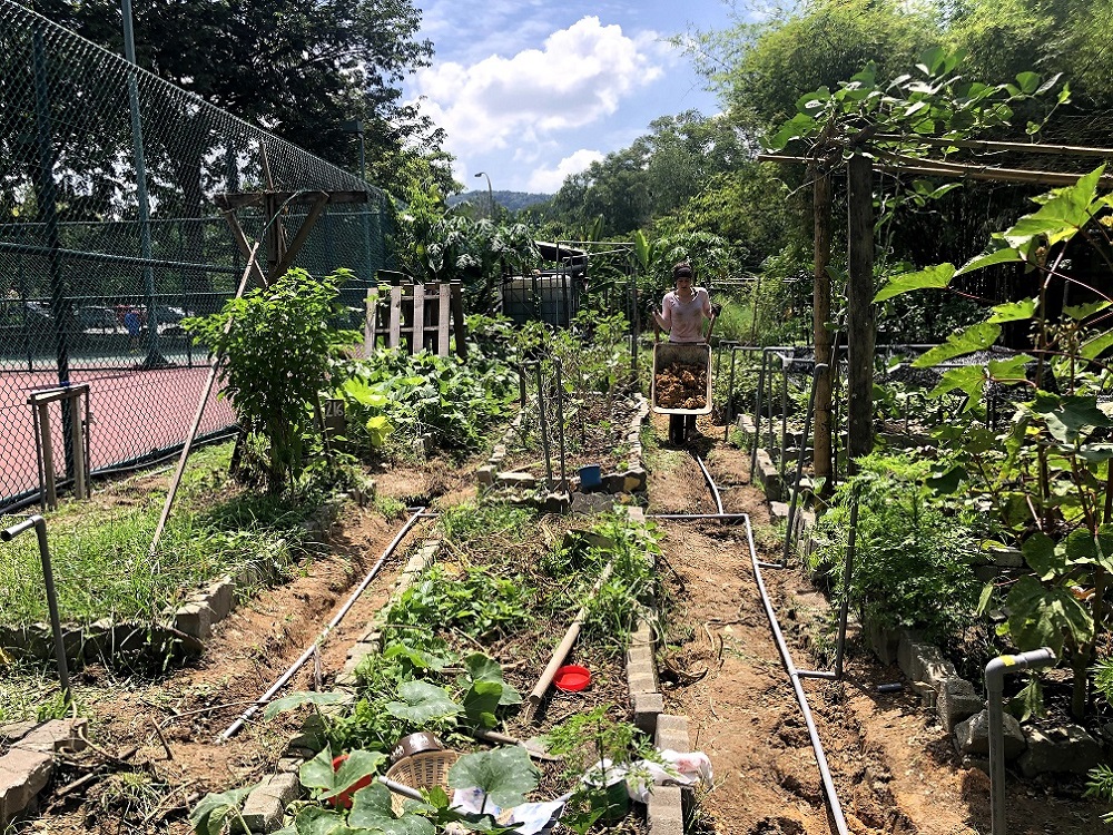 The TTDI Edible Community Garden has been getting more attention since the MCO. ― Picture courtesy of Margaret Lee