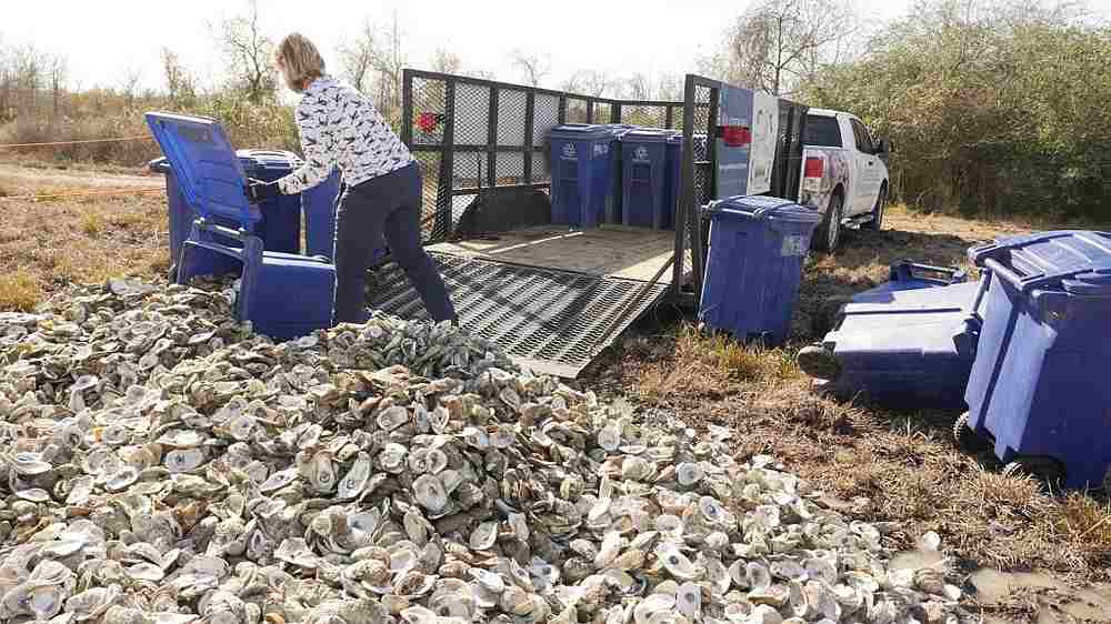 Shannon Batte unloads bins full of oyster shells at Red Bluff Road, a wasteland rented from the Port of Houston used as a curing site  in Pasadena, Texas December 21, 2020.  u00e2u20acu201d AFP pic
