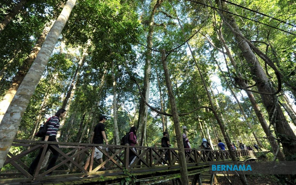 The Tawau Hill Park (TBT) has become a popular tourist destination for Sabahans after recreational activities were allowed beginning December 7. u00e2u20acu201d Picture via Twitter/Bernama