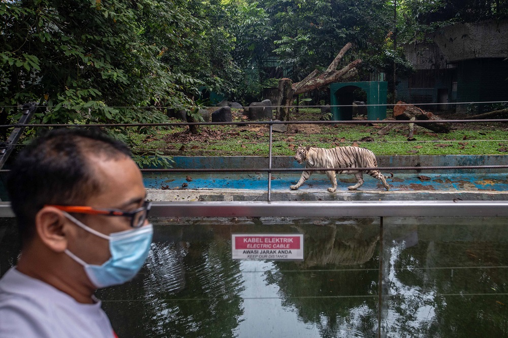 Visitors are seen at Zoo Negara in Kuala Lumpur December 19, 2020. u00e2u20acu201d Picture by Shafwan Zaidon