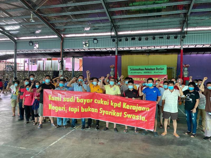A group representing Musang King durian farmers in Raub, Pahang today decried the district land officeu00e2u20acu2122s attempt to evict them ahead of their court appeal. u00e2u20acu201d Picture from Facebook/Save Musang King Alliance