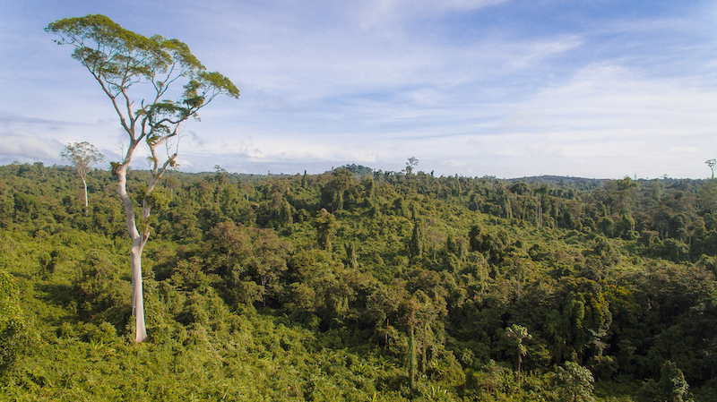 Bukit Piton is a reminder that this harmonious co-existence between the people and the planet is indeed possible.— Picture courtesy of WWF Malaysia