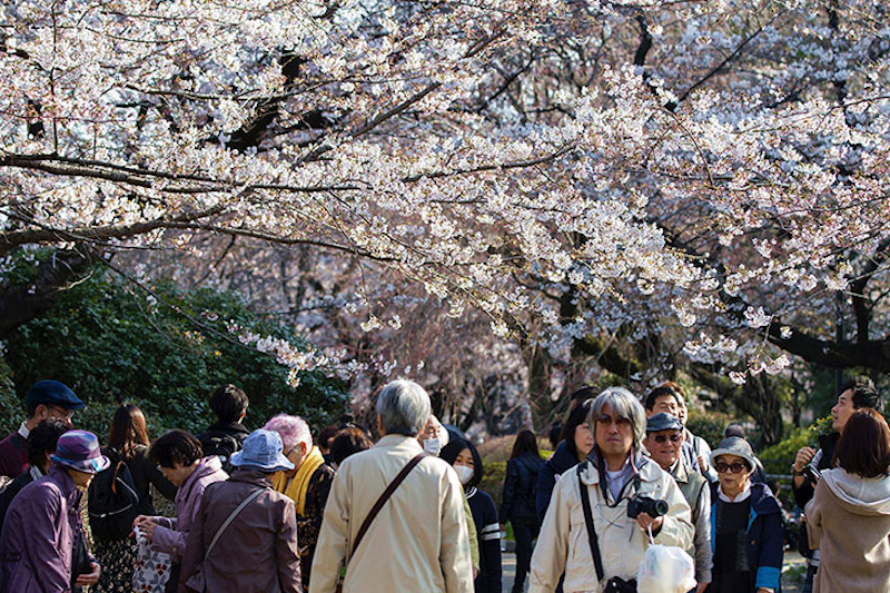 Japanese government invites qualified Malaysians to apply for its Japanese Studies and Teacher Training scholarships. u00e2u20acu201d Photo by CK Lim