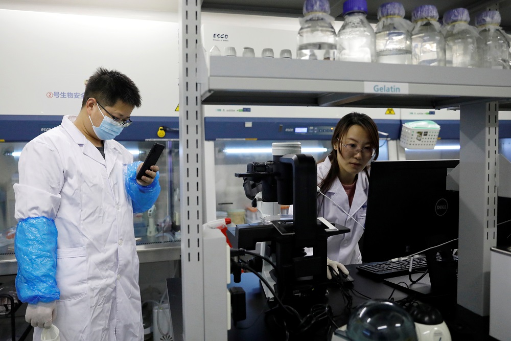 Dr Jing Qu (right) and Dr Wei Wang at the cell culture room of the Ageing and Regeneration lab at the Institute for Stem Cell and Regeneration of the Chinese Academy of Sciences (CAS) in Beijing January 12, 2021. u00e2u20acu201d Reuters pic