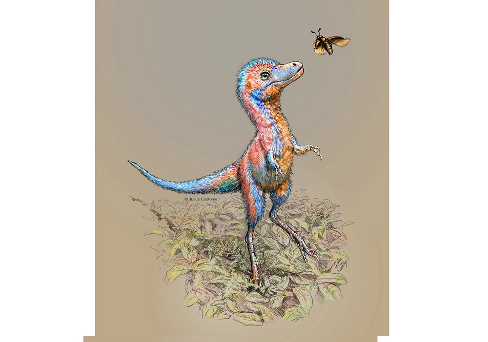 A baby tyrannosaur from the Cretaceous Period of North America, based on partial fossils unearthed in Montana and in the Canadian province of Alberta, is seen in an undated artist's rendition. u00e2u20acu201d Handout by Julius Csotonyi via Reuters 