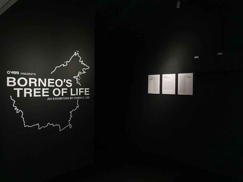 The images are captured by biologist turned photographer Chien C. Lee whose works have been featured in international publications including National Geographic, Smithsonian, and the BBC. —  Picture courtesy of GMBB