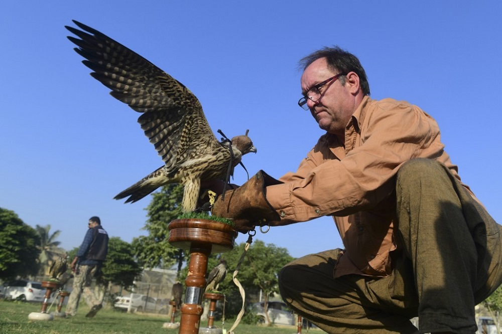 In this picture taken on November 23, 2020, Wayne Davis, an ornithologist working with Avian Environmental Consultants, examines a falcon seized by Pakistani authorities smugglers, in the port city of Karachi. u00e2u20acu201d AFP pic