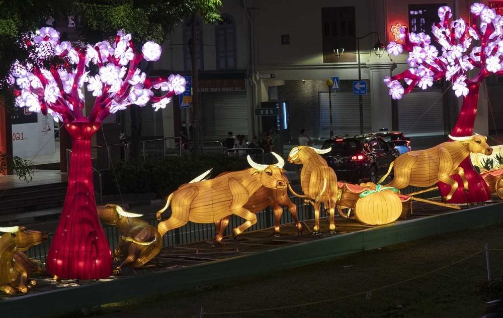 Chinese New Year decorations ushering in the Year of the Ox along New Bridge Road January 24, 2021. — TODAY pic