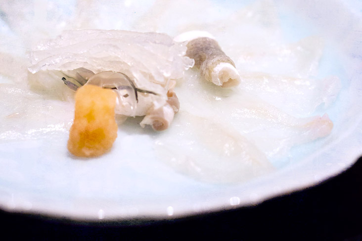 'Fugu' (puffer fish) dishes such as sashimi style 'fugu sashi' are not for the faint of heart.