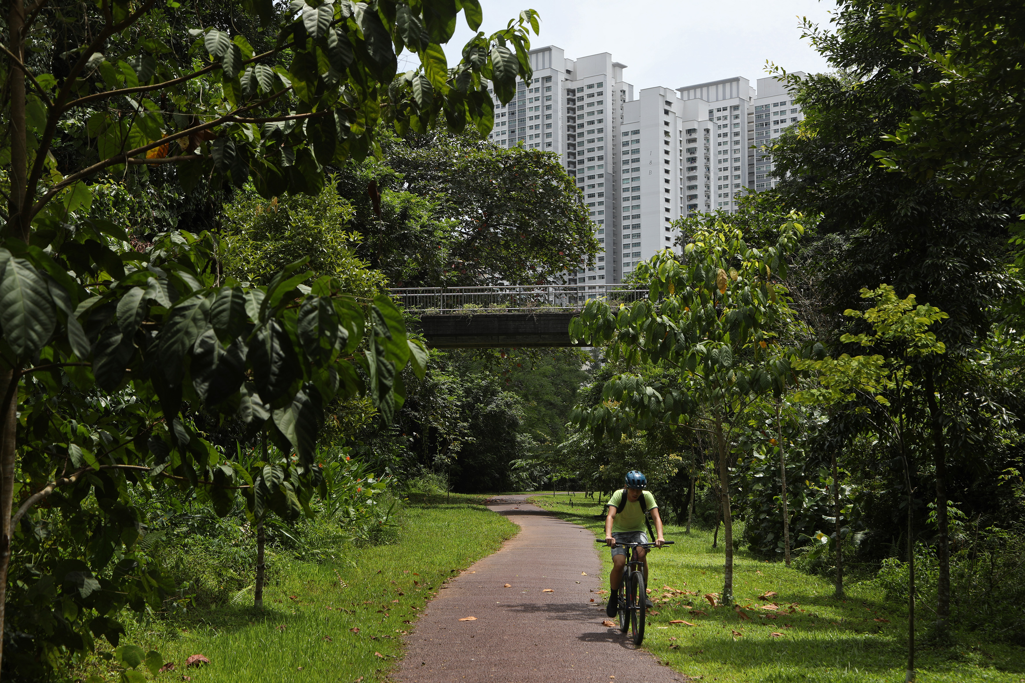 Flats seen from the Rail Corridor near Ghim Moh, on Jan 29, 2020. While deeper engagement with the Government is welcomed, environmentalists told TODAY that it is also time to relook Singapore's approach to development as a whole, by making conservation o