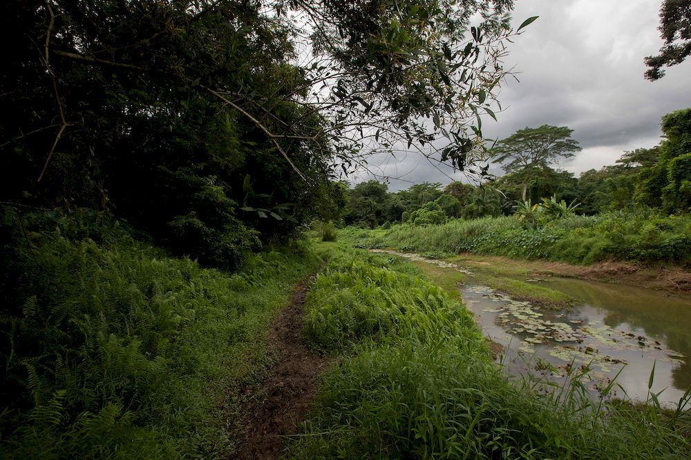 Hikers said that Clementi Forest appeals to them because it is unlike any other park or nature reserve in Singapore. — TODAY pic
