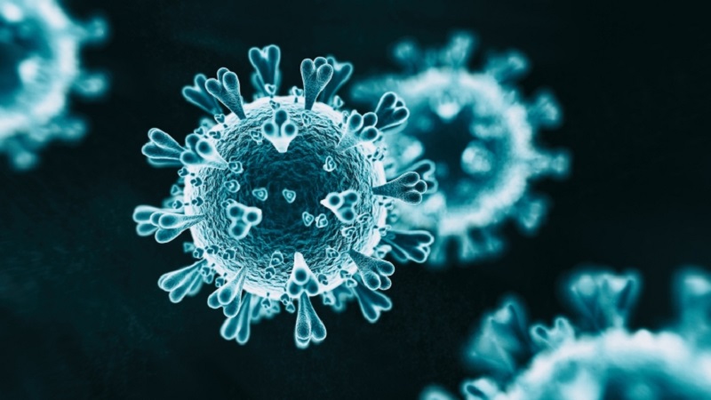 Specific cells can remember the coronavirus pathogen and can, if faced with reinfection, prompt the immune system to reinitiate the production of virus-fighting antibodies. u00e2u20acu2022 IStock.com/AFP pic