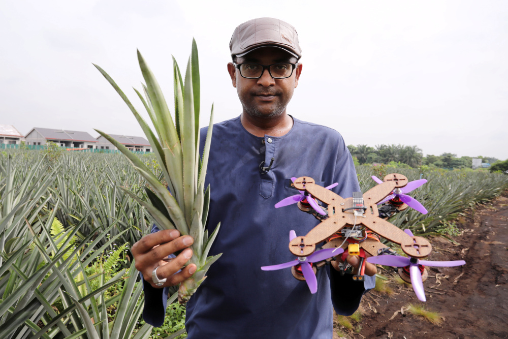 University Putra Malaysia professor Mohamed Thariq holds pineapple leaves and a drone partially made with pineapple stems, in Jenjarom, Malaysia December 12, 2020. u00e2u20acu201d Reuters pic 
