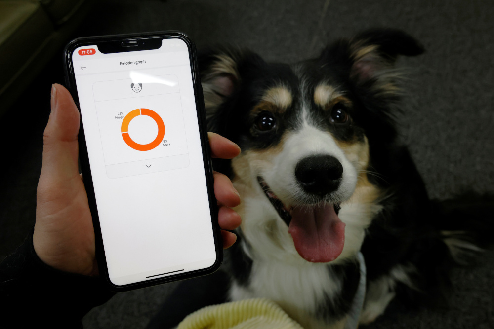Moon Sae-mi tries out Petpuls, an AI-powered smart dog collar, with her dog Godot during a demonstration in Seoul January 11, 2021. u00e2u20acu201d Reuters pic