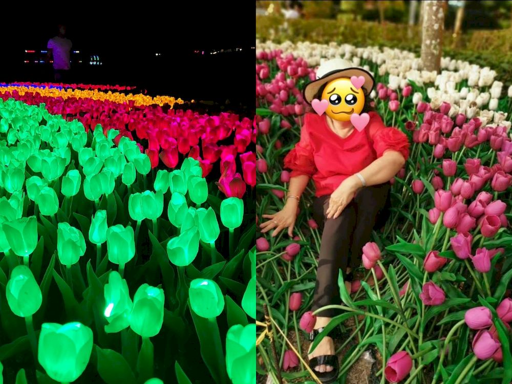 A resort in Perlis has taken to Facebook urging the public to be mindful of their decorations after it was ruined by previous visitors. u00e2u20acu201d Photo courtesy of Facebook/Tasoh Lake Resort by Tasoh Tasikku