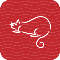 A positive year for the Rat.