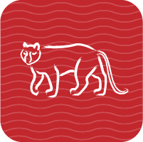 Lots of good news awaits the Tiger.