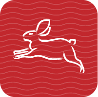 The Rabbit may face a difficult year.