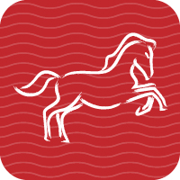 The Horse can anticipate a happy year.