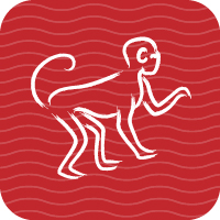 A steady year with good career luck for the Monkey.