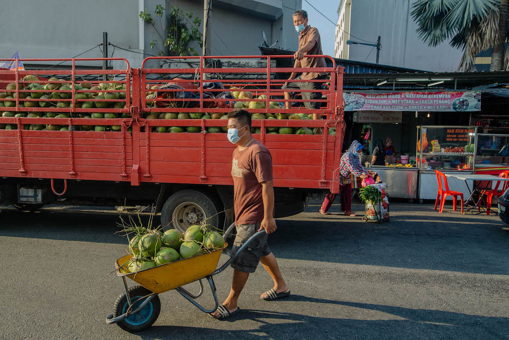 A worker carts coconuts to his stall at Chow Kit market during the movement control order (MCO) in Kuala Lumpur February 28, 2021. u00e2u20acu201d Picture by Firdaus Latifu00e2u20acu00a8